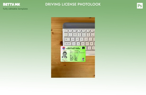 модерен стил Пакистанска меѓународна возачка дозвола photolook ПРЕДЕН шаблон